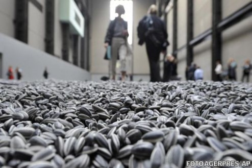 Seeds